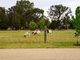 Photo - 103 Barnes Road, Cobram East VIC 3644 - Image 13