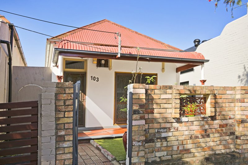 Photo - 103 Chapel Street, Marrickville NSW 2204 - Image 6