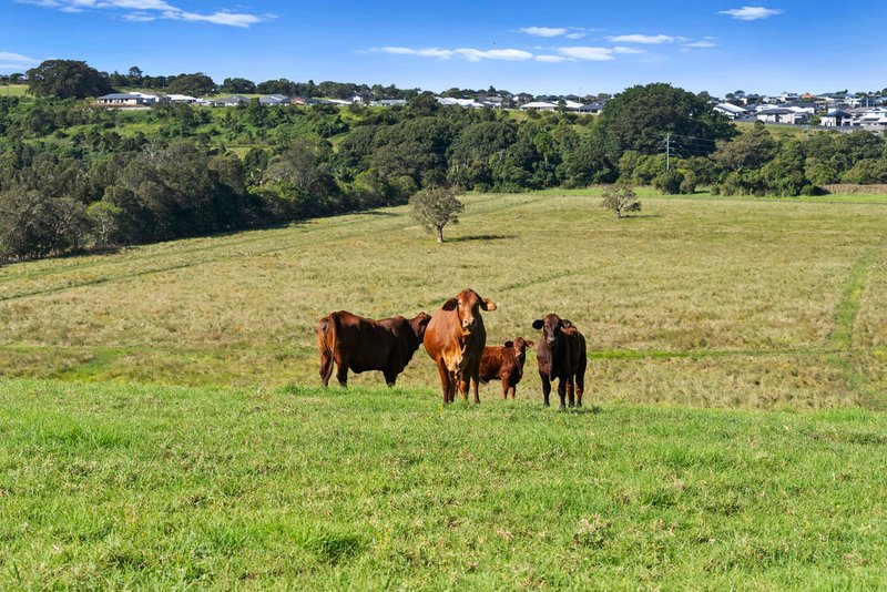Photo - 103 Cumbalum Road, Cumbalum NSW 2478 - Image 10