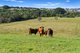 Photo - 103 Cumbalum Road, Cumbalum NSW 2478 - Image 10