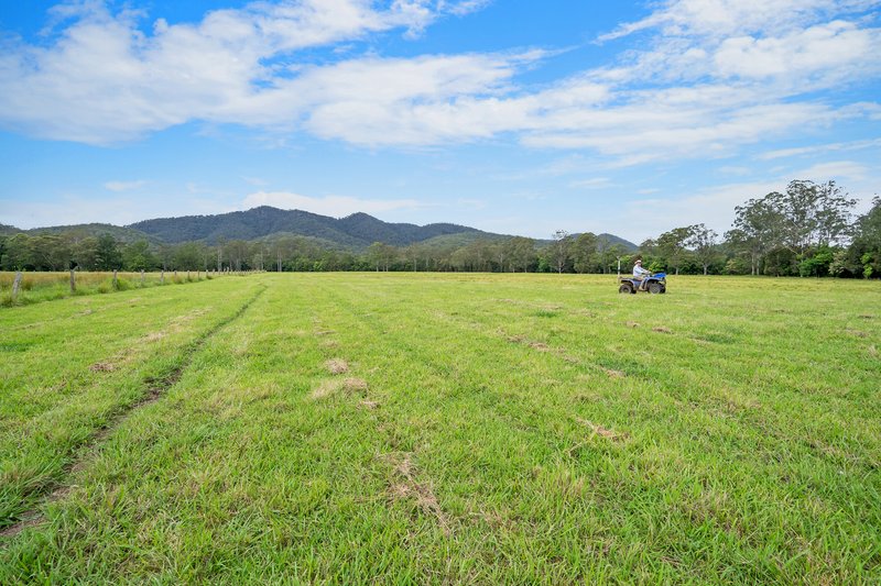 Photo - 103 Gap Hill Road, Stroud NSW 2425 - Image 6