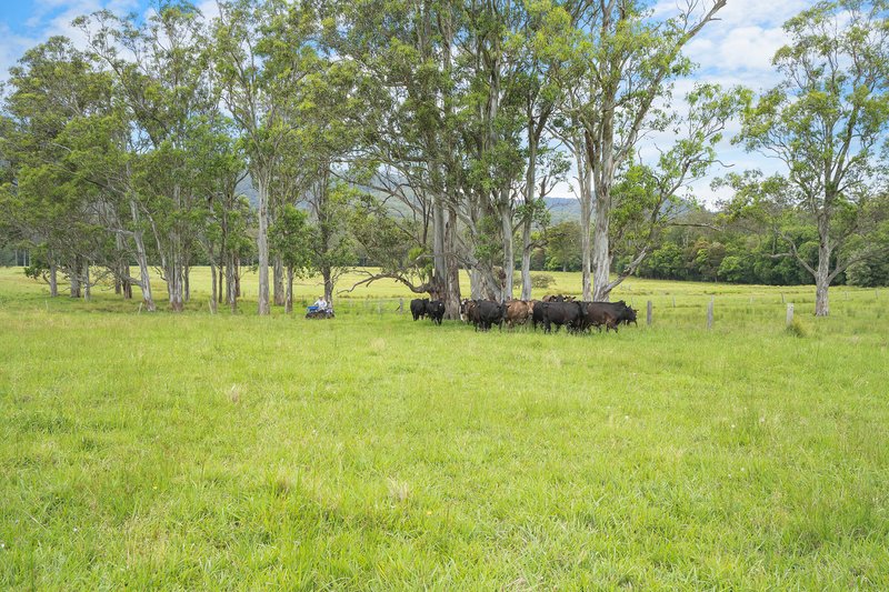 Photo - 103 Gap Hill Road, Stroud NSW 2425 - Image 27