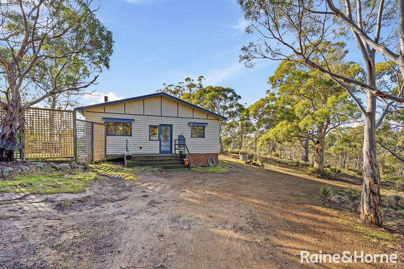 Photo - 103 Hall Street, Ridgeway TAS 7054 - Image 13