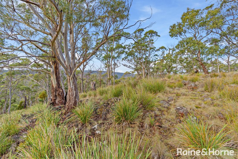 Photo - 103 Hall Street, Ridgeway TAS 7054 - Image 16