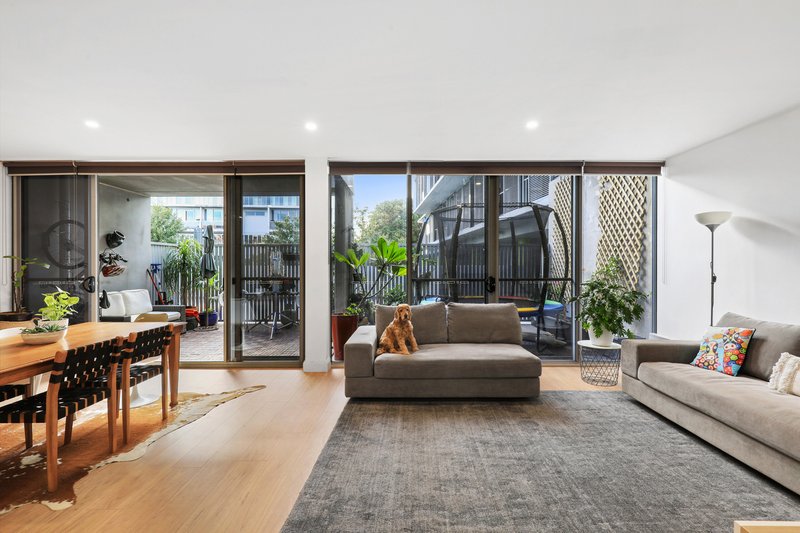 103/1 Retreat Street, Alexandria NSW 2015