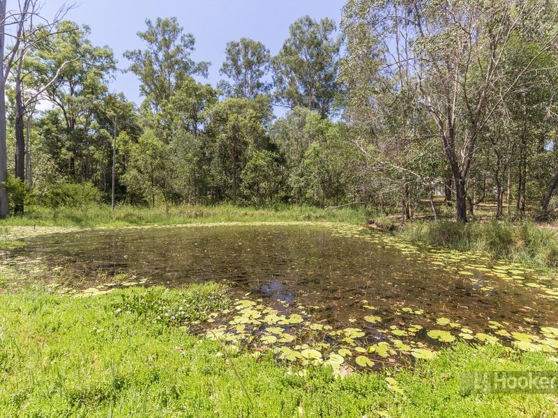 Photo - 1031 Teviot Road, South Maclean QLD 4280 - Image 17