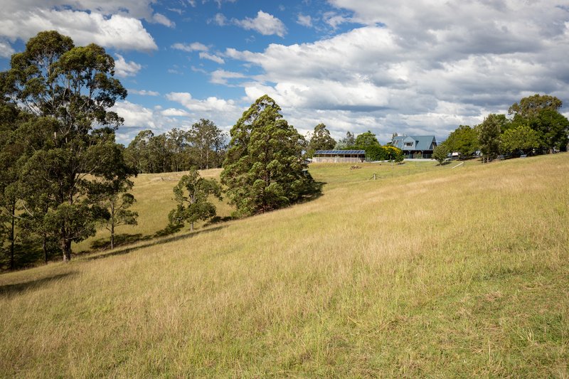 Photo - 1032 Little Bunyah Rd , Bucca Wauka NSW 2429 - Image 4