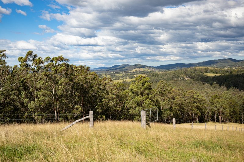 Photo - 1032 Little Bunyah Rd , Bucca Wauka NSW 2429 - Image 8