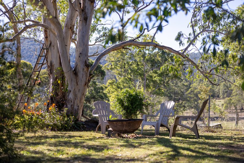 Photo - 1033 Bunyah Road, Bunyah NSW 2429 - Image 17