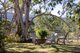 Photo - 1033 Bunyah Road, Bunyah NSW 2429 - Image 17
