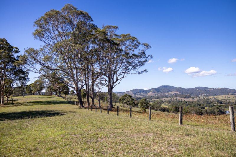 Photo - 1033 Bunyah Road, Bunyah NSW 2429 - Image 29