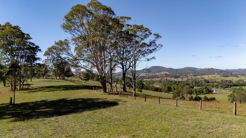 Photo - 1033 Bunyah Road, Bunyah NSW 2429 - Image 32