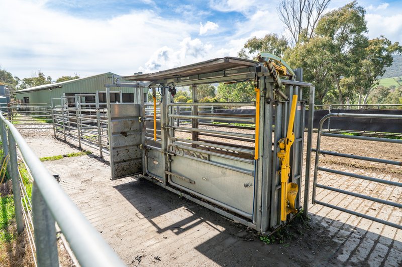 Photo - 1038 Sandy Creek Road, Sandy Creek VIC 3695 - Image 4