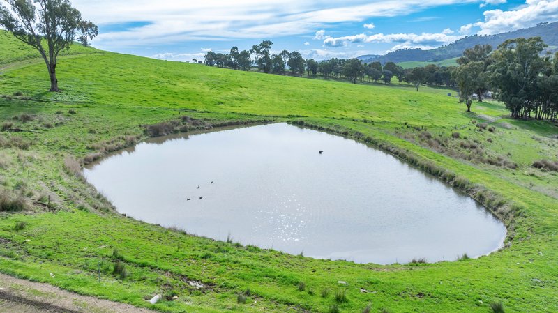 Photo - 1038 Sandy Creek Road, Sandy Creek VIC 3695 - Image 9