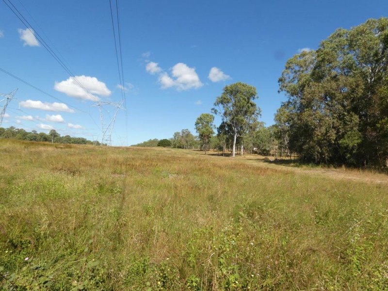 Photo - 1039 Hills Road, Mount Maria QLD 4674 - Image 22