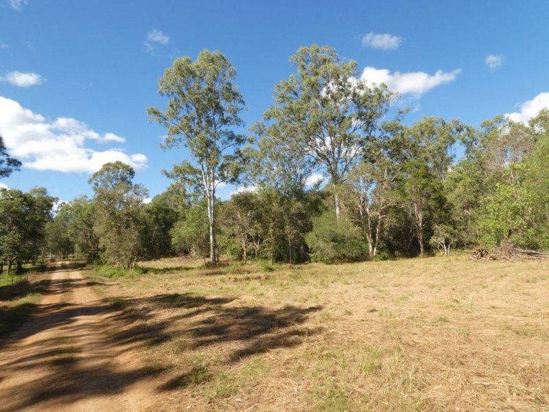 Photo - 1039 Hills Road, Mount Maria QLD 4674 - Image 23