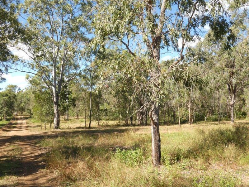 Photo - 1039 Hills Road, Mount Maria QLD 4674 - Image 25