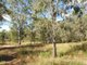 Photo - 1039 Hills Road, Mount Maria QLD 4674 - Image 25