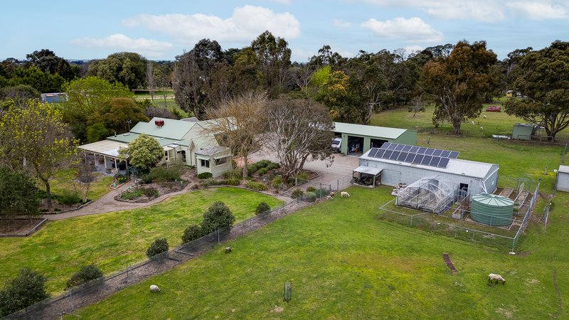 Photo - 104 Bungower Road, Somerville VIC 3912 - Image 29