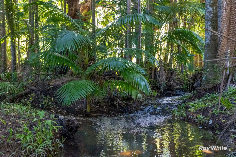 Photo - 104 Castle Rock Road, Byfield QLD 4703 - Image 6