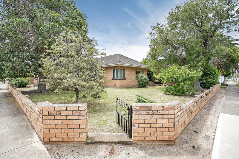 Photo - 104 Cliff Street, Glengowrie SA 5044 - Image 11