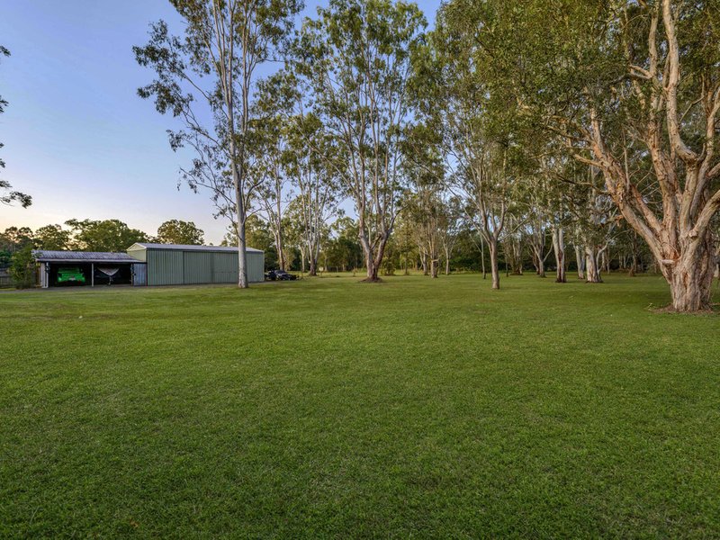 Photo - 104 Idonia Street, Bridgeman Downs QLD 4035 - Image 24