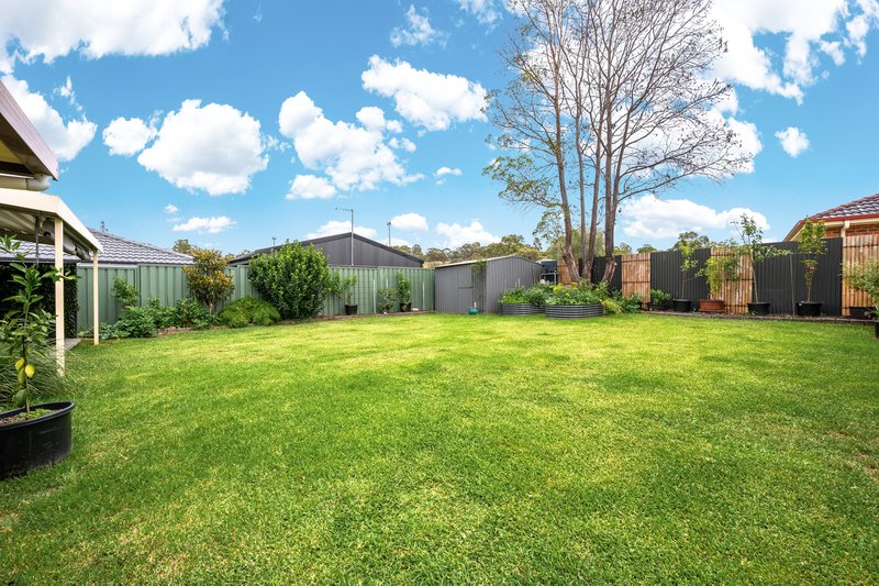 Photo - 104 Lachlan Avenue, Singleton NSW 2330 - Image 16