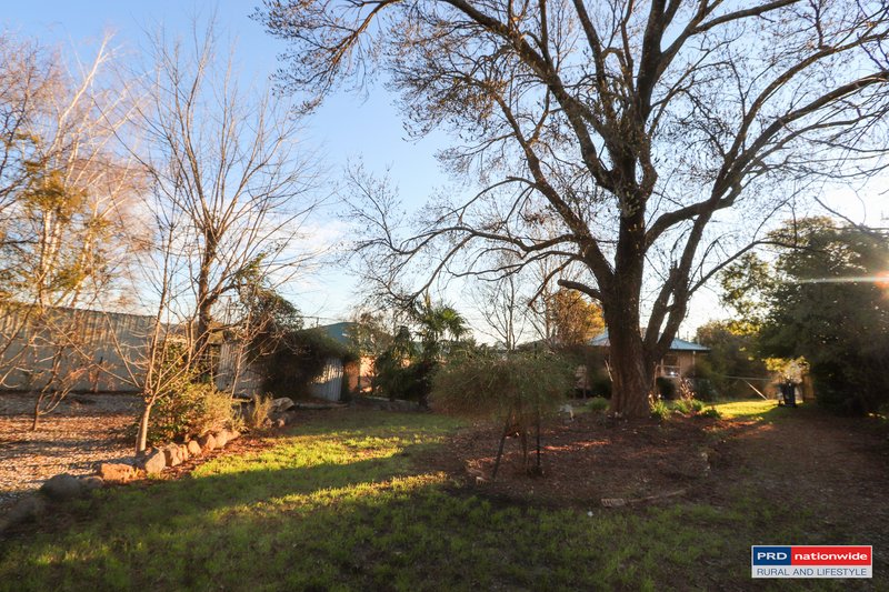 Photo - 104 Murray Street, Tumbarumba NSW 2653 - Image 17