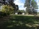 Photo - 1042 Lowmead Road, Colosseum QLD 4677 - Image 9