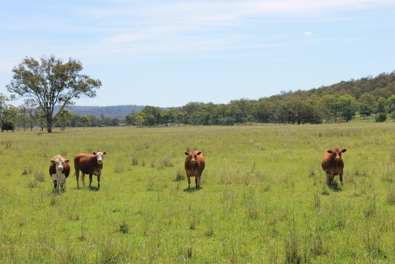 Photo - 1046-1100 Rosewood Laidley Road, Grandchester QLD 4340 - Image 10