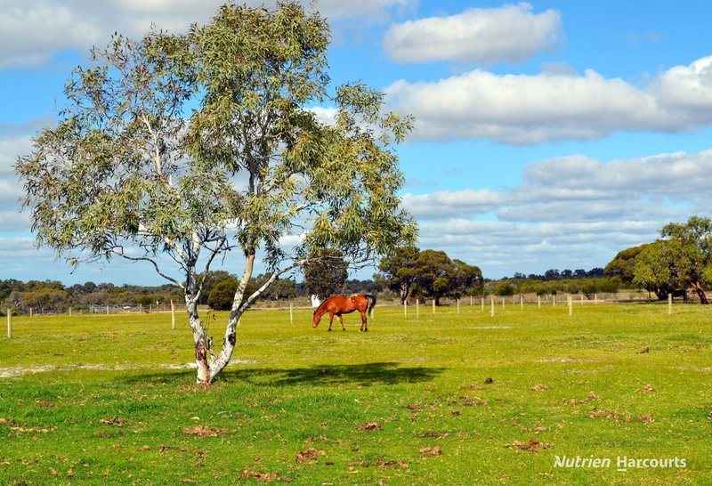 Photo - 1046 Gingin Brook Road, Muckenburra WA 6503 - Image 28