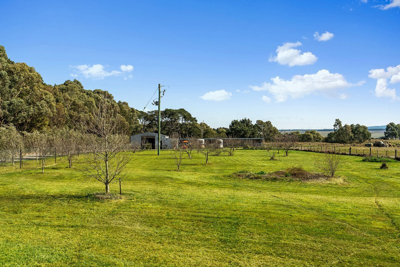 Photo - 1048 Egerton-Bungeeltap Road, Mount Wallace VIC 3342 - Image 16