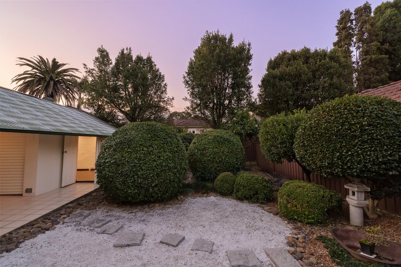 Photo - 105 Davidson Avenue, Concord NSW 2137 - Image 18