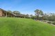 Photo - 105 Jacaranda Road, Kurrajong NSW 2758 - Image 24