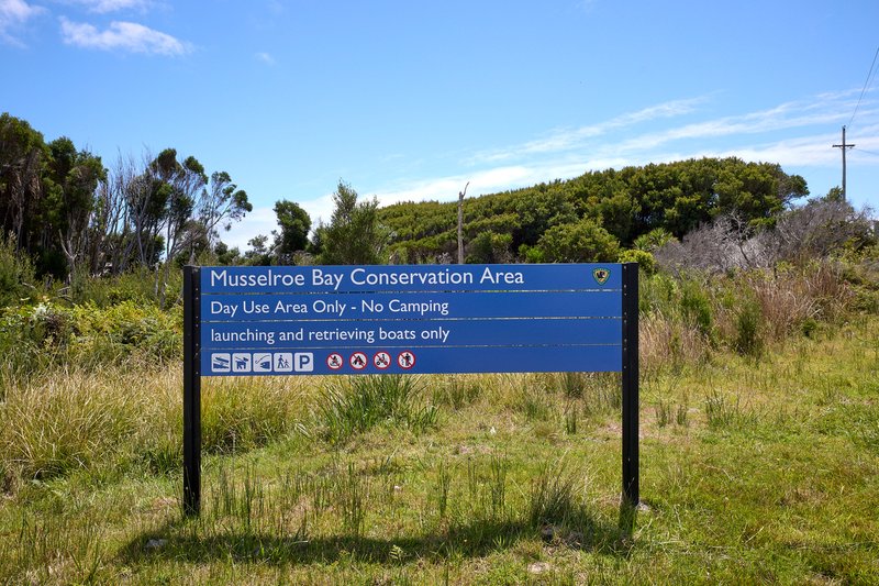 Photo - 105 Main Street, Musselroe Bay TAS 7264 - Image 17