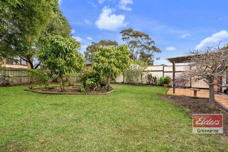 Photo - 105 Rawson Road, Greenacre NSW 2190 - Image 7