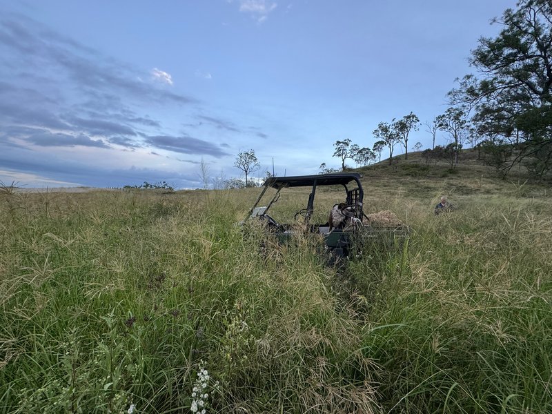 Photo - 105 Schultz Road, Coalbank QLD 4352 - Image 13