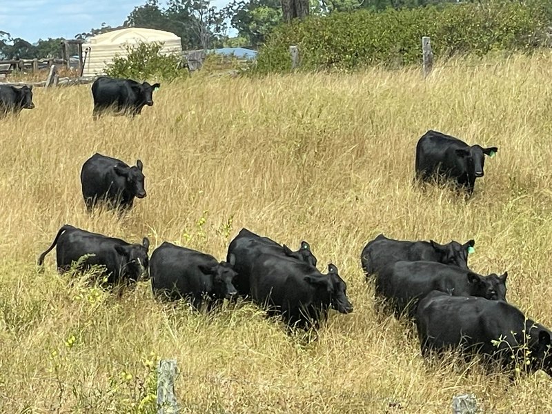 Photo - 105 Schultz Road, Coalbank QLD 4352 - Image 21