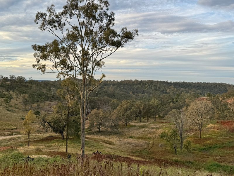 Photo - 105 Schultz Road, Coalbank QLD 4352 - Image 24