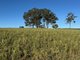 Photo - 105 Schultz Road, Coalbank QLD 4352 - Image 29