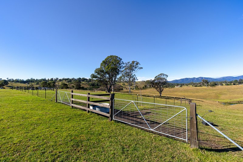 Photo - 105 Terlichs Road, Verona NSW 2550 - Image 10