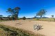 Photo - 105 Terlichs Road, Verona NSW 2550 - Image 12