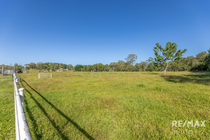 Photo - 105 Twin View Road, Elimbah QLD 4516 - Image 3