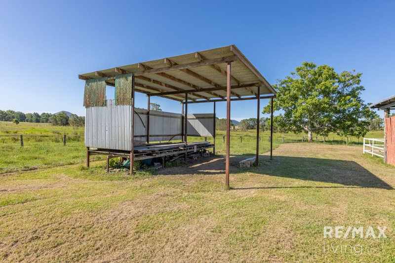 Photo - 105 Twin View Road, Elimbah QLD 4516 - Image 6