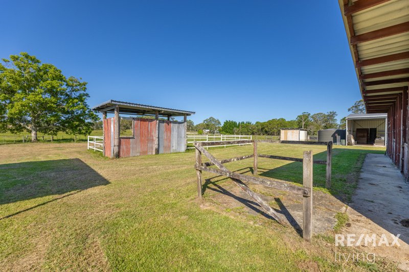 Photo - 105 Twin View Road, Elimbah QLD 4516 - Image 7