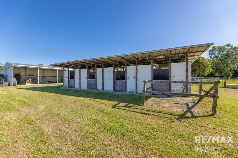 Photo - 105 Twin View Road, Elimbah QLD 4516 - Image 8