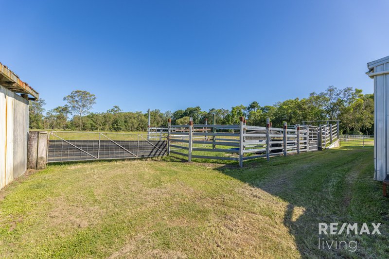 Photo - 105 Twin View Road, Elimbah QLD 4516 - Image 13