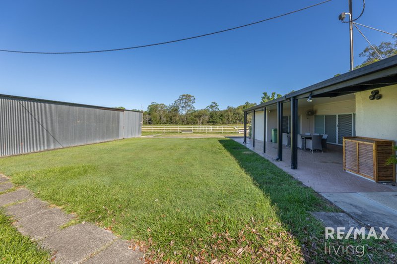 Photo - 105 Twin View Road, Elimbah QLD 4516 - Image 16