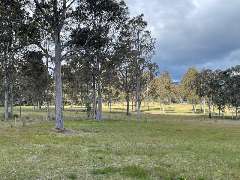 Photo - 105 Wallaby Gully Road, Ellalong NSW 2325 - Image 6