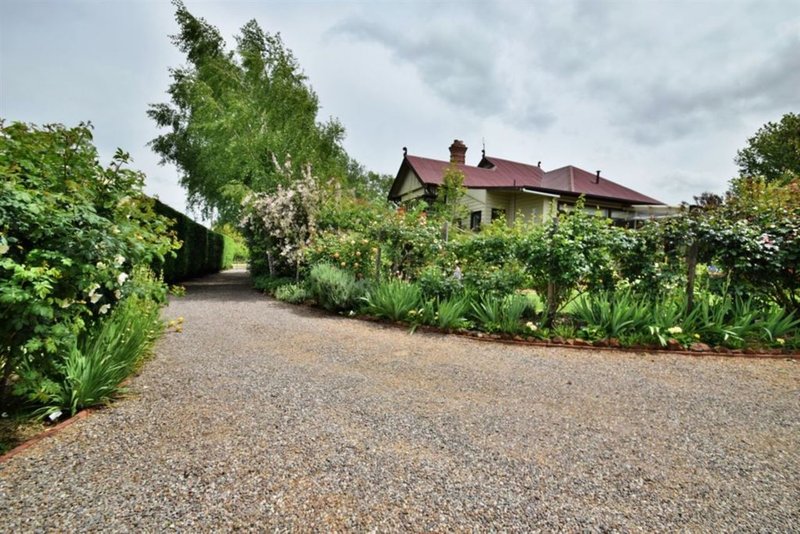 Photo - 105 West Westbury Place, Deloraine TAS 7304 - Image 16